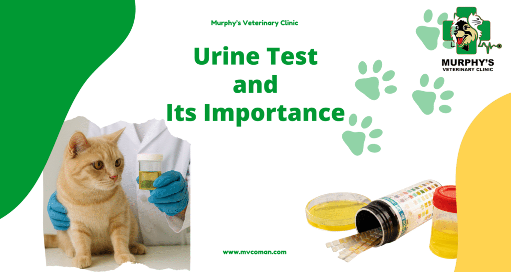 Urine Test and Its Importance
