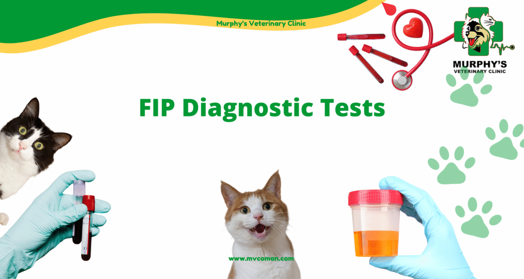 ++ FIP Diagnostic Tests