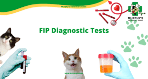 ++ FIP Diagnostic Tests