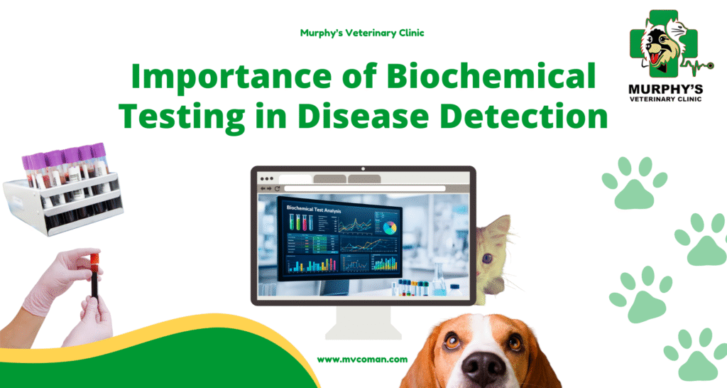 Importance of Biochemical Testing in Disease Detection