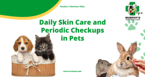 ++ Daily Skin Care and Periodic Checkups in Pets