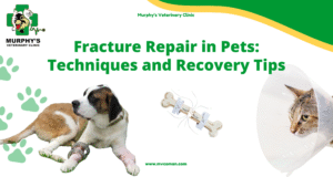 ++Fracture Repair in Pets Techniques and Recovery Tips
