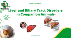 ++Liver and Biliary Tract Disorders in Companion Animals