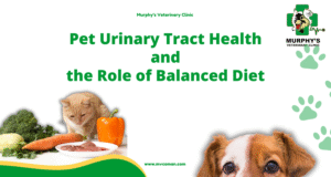 Pet Urinary Tract Health and the Role of Balanced Diet