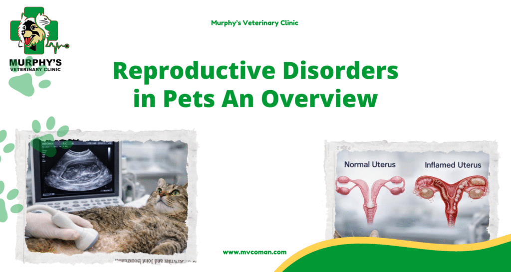 ++Reproductive Disorders in Pets An Overview