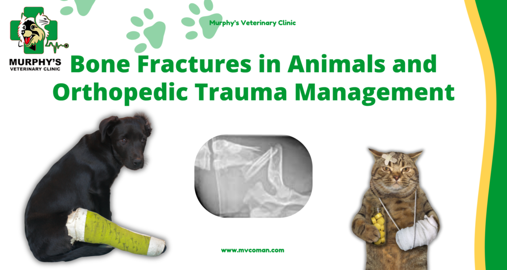 ++Bone Fractures in Animals and Orthopedic Trauma Management (1)