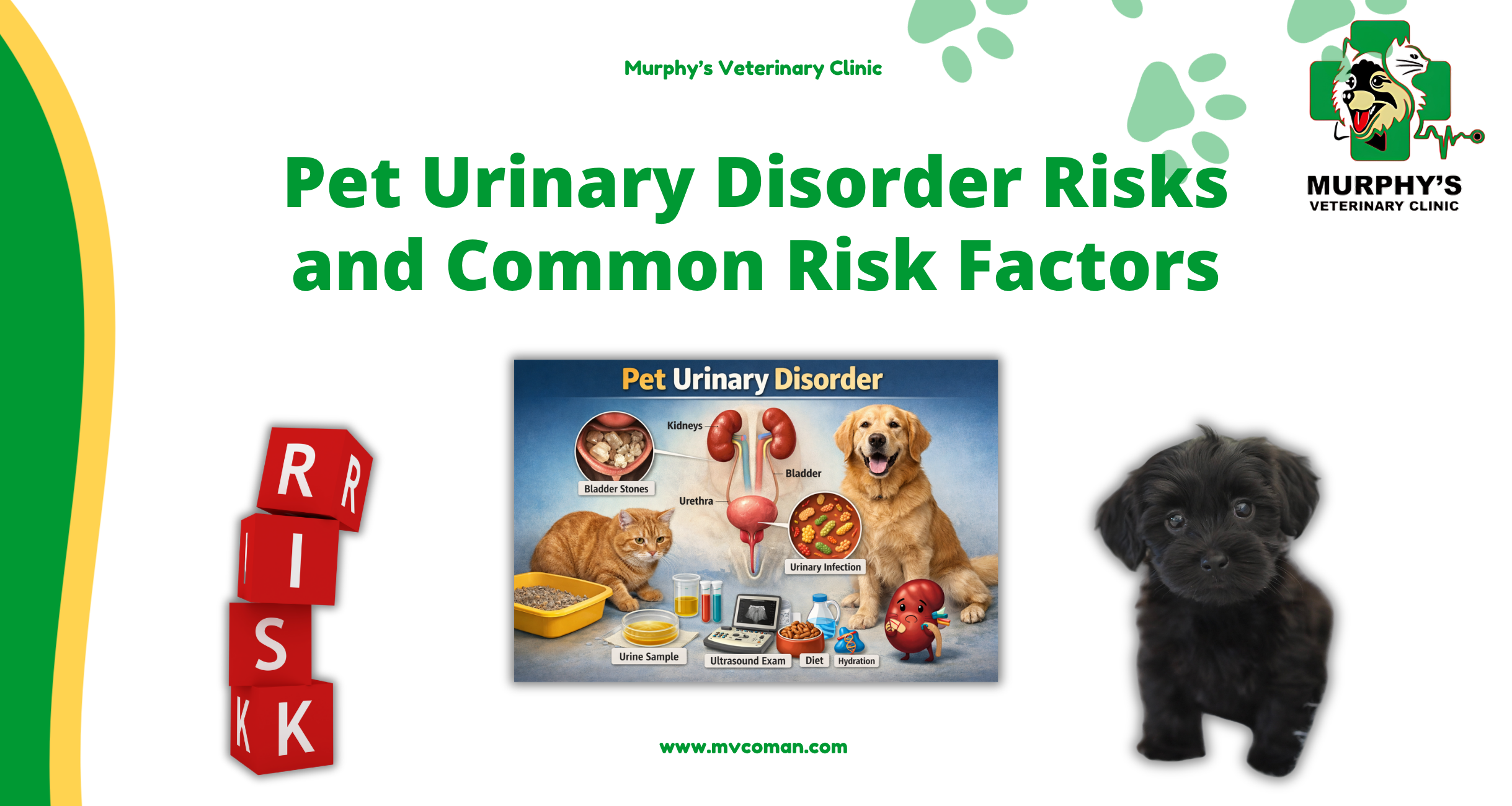 Pet Risks Wallpaper Pet Urinary Disorder Risks and Common Risk Factors - MURPHYS Veterinary ...