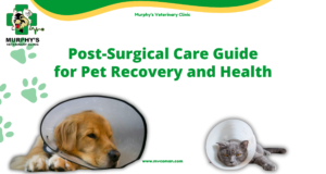 ++Post-Surgical Care Guide for Pet Recovery and Health