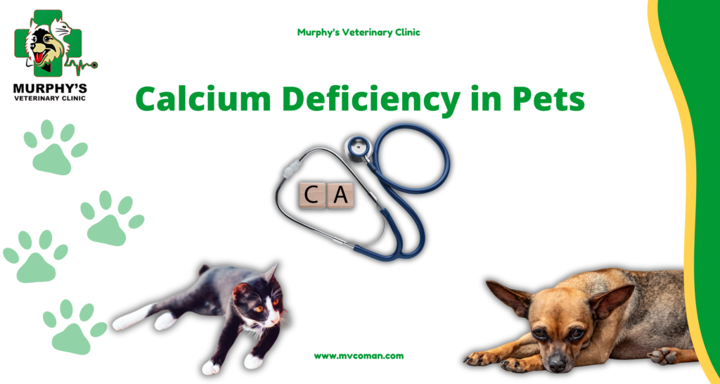Calcium Deficiency in Pets (1)