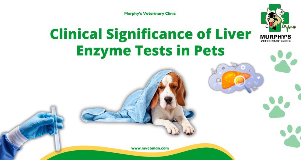 Clinical Significance of Liver Enzyme Tests in Pets