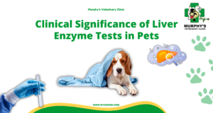 Clinical Significance of Liver Enzyme Tests in Pets