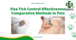 Flea Tick Control Effectiveness Comparative Methods in Pets