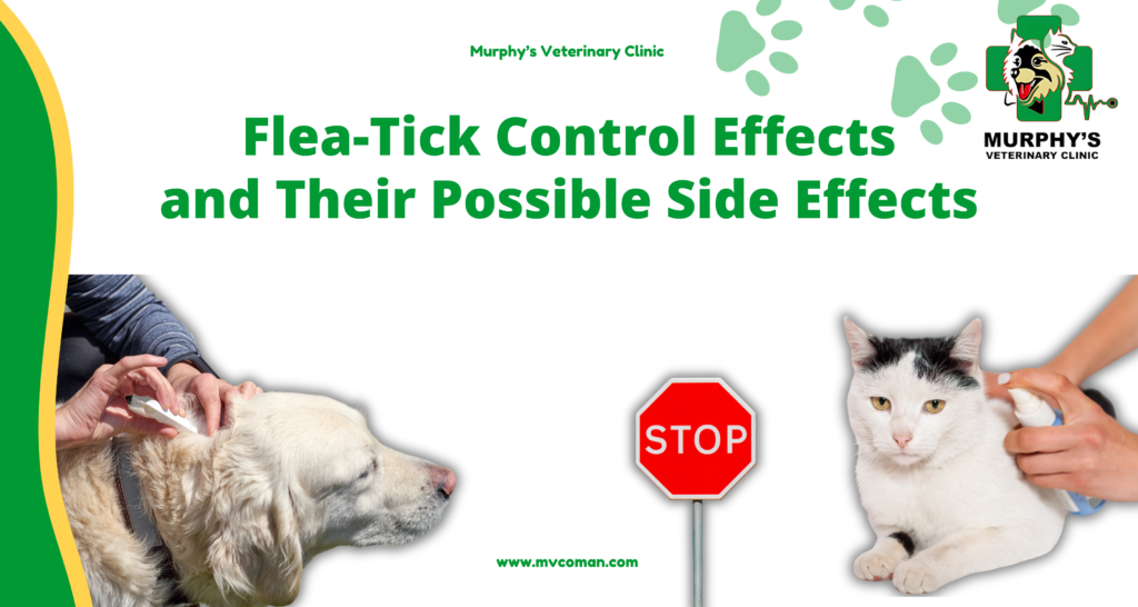 Flea-Tick Control Effects and Their Possible Side Effects