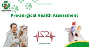 Pre-Surgical Health Assessment