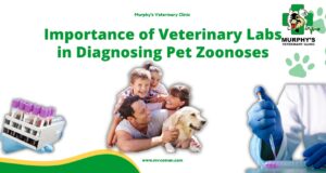 Importance of Veterinary Labs in Diagnosing Pet Zoonoses