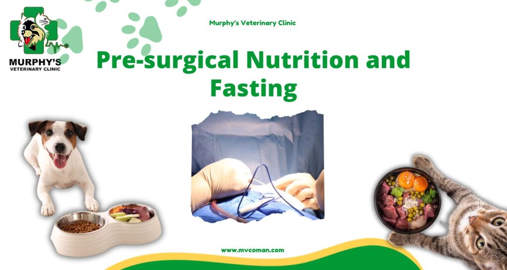 Pre-surgical Nutrition and Fasting