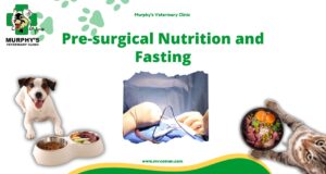 Pre-surgical Nutrition and Fasting